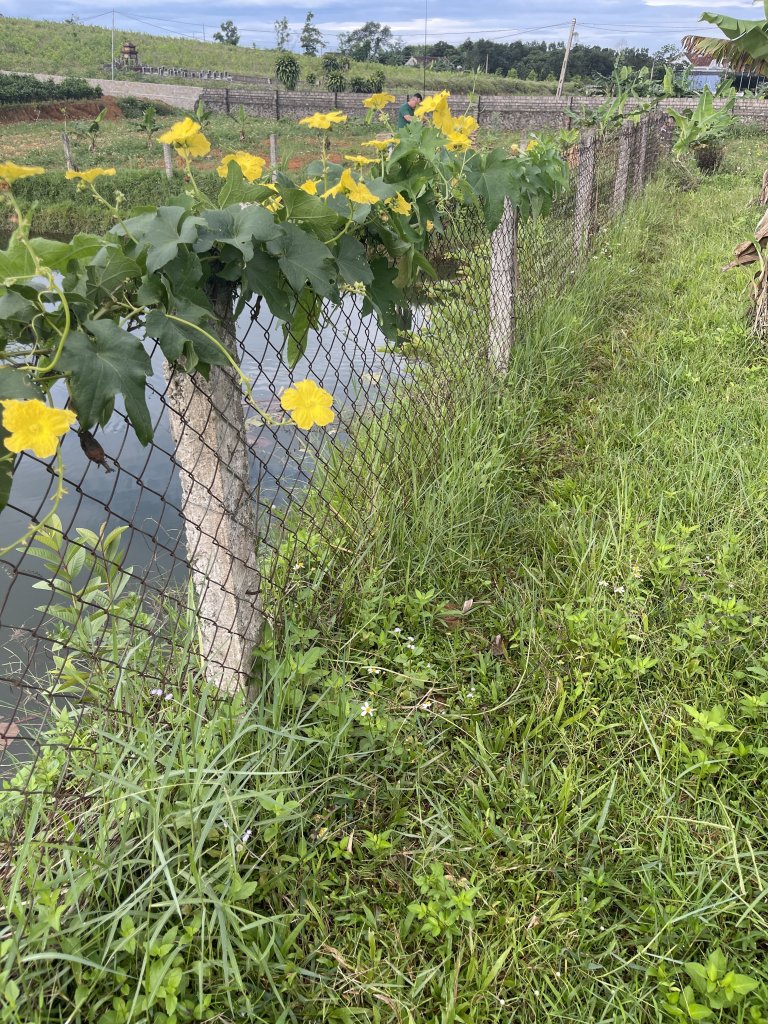 IMG_2816.jpeg