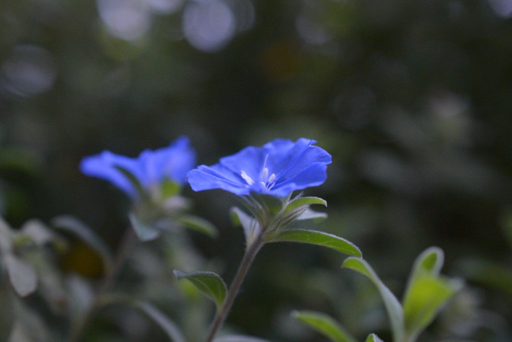 IMG_8882.jpeg