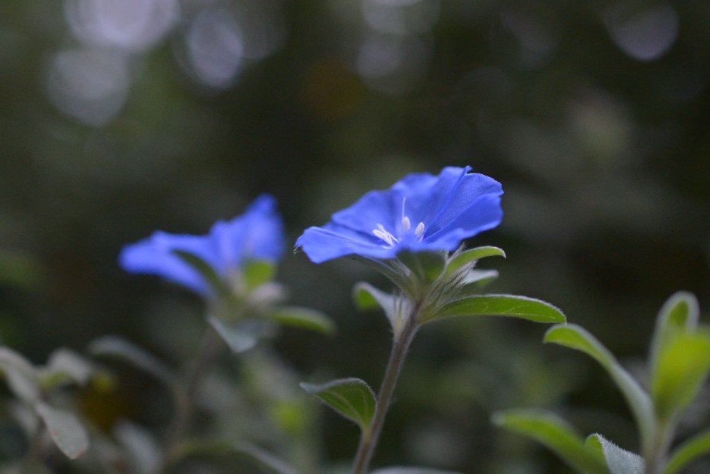 IMG_8890.jpeg