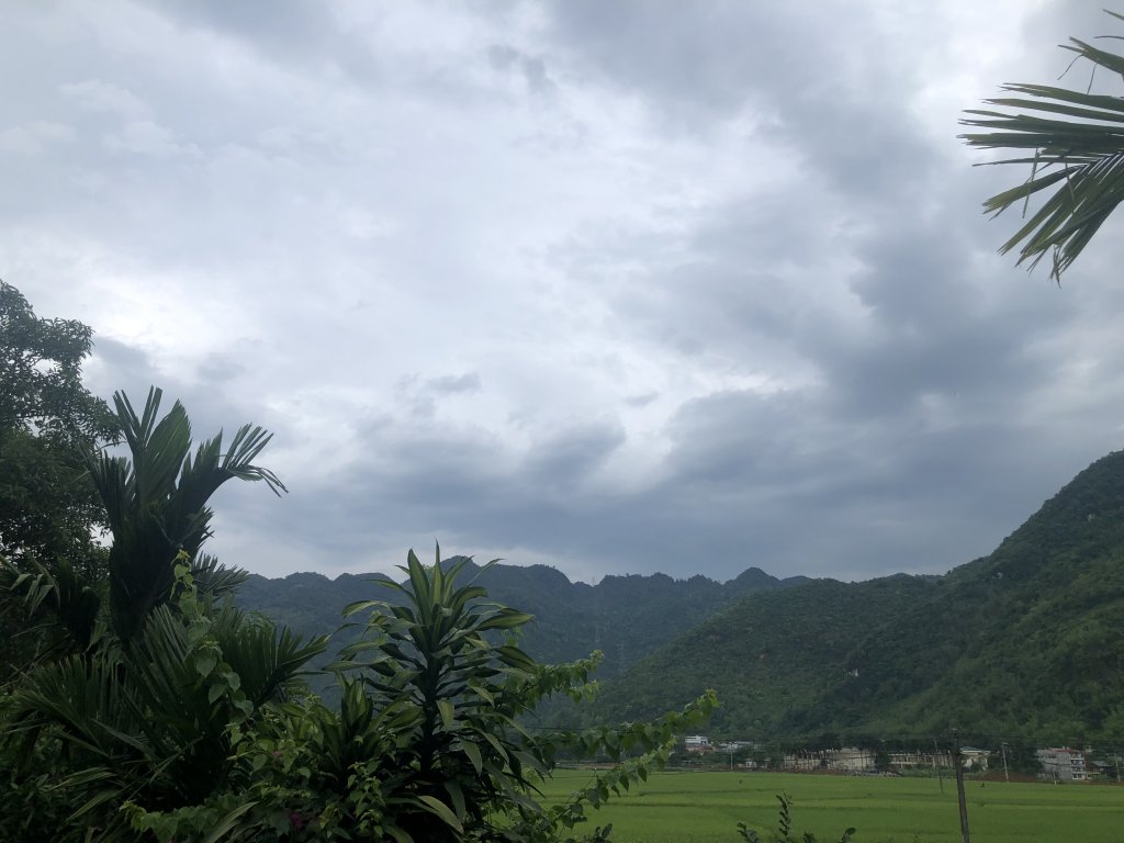 IMG_5923.jpeg