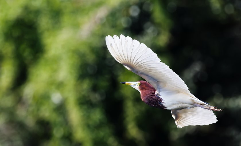 IMG_2469Crop.JPG
