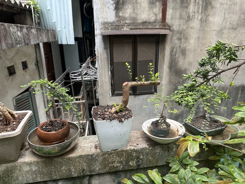IMG_8348.jpeg