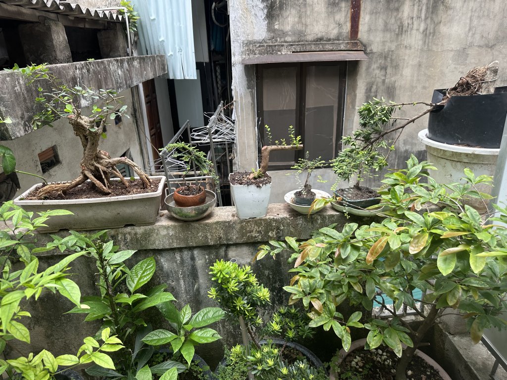 IMG_8349.jpeg