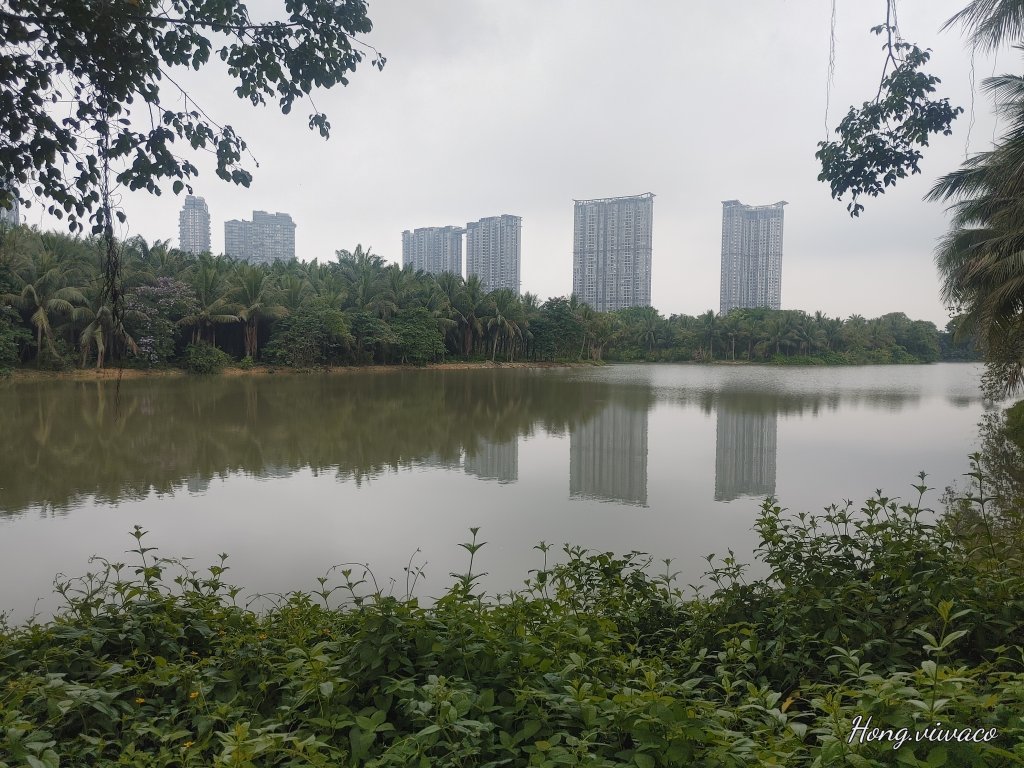 20260518_100705_HDR.jpg