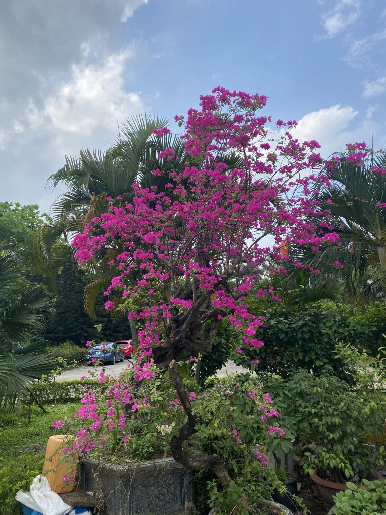IMG_0180.jpeg