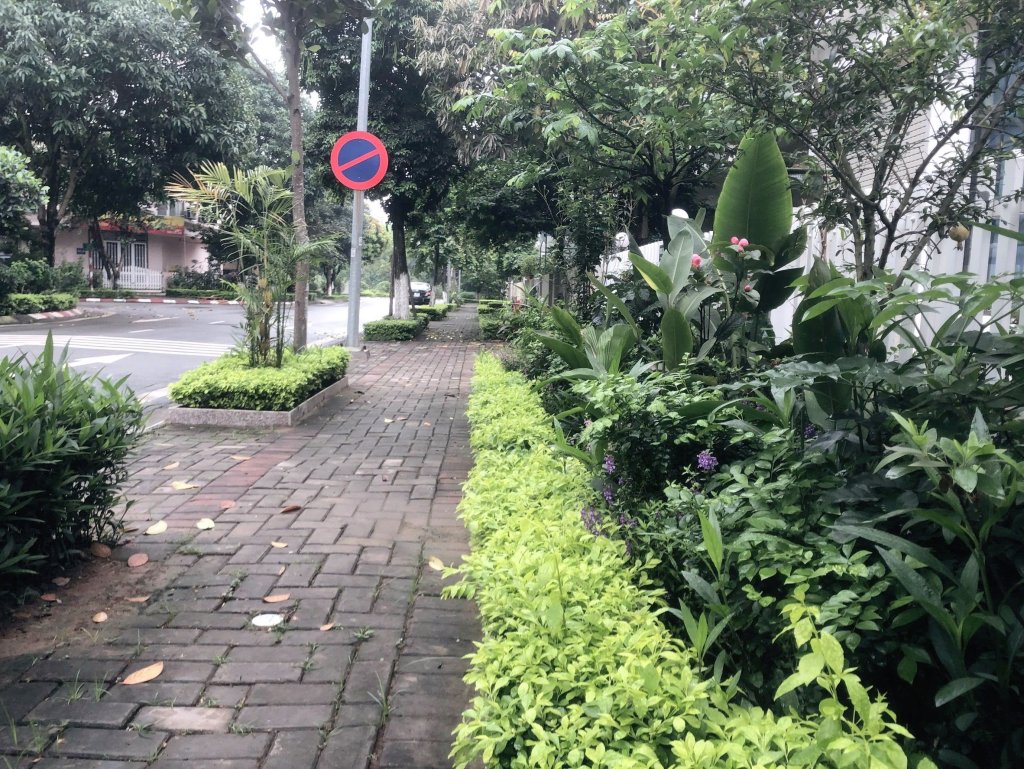 IMG_9206.jpeg