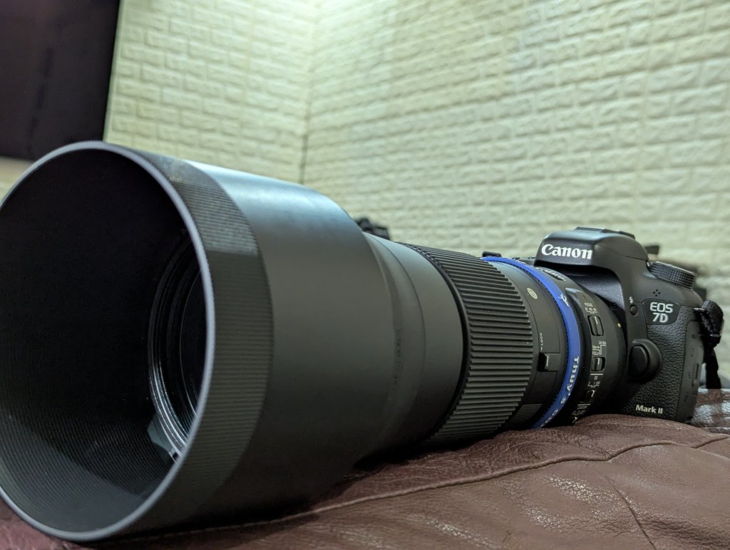 PXL_20260520_101811197.RAW-01.COVER.jpg