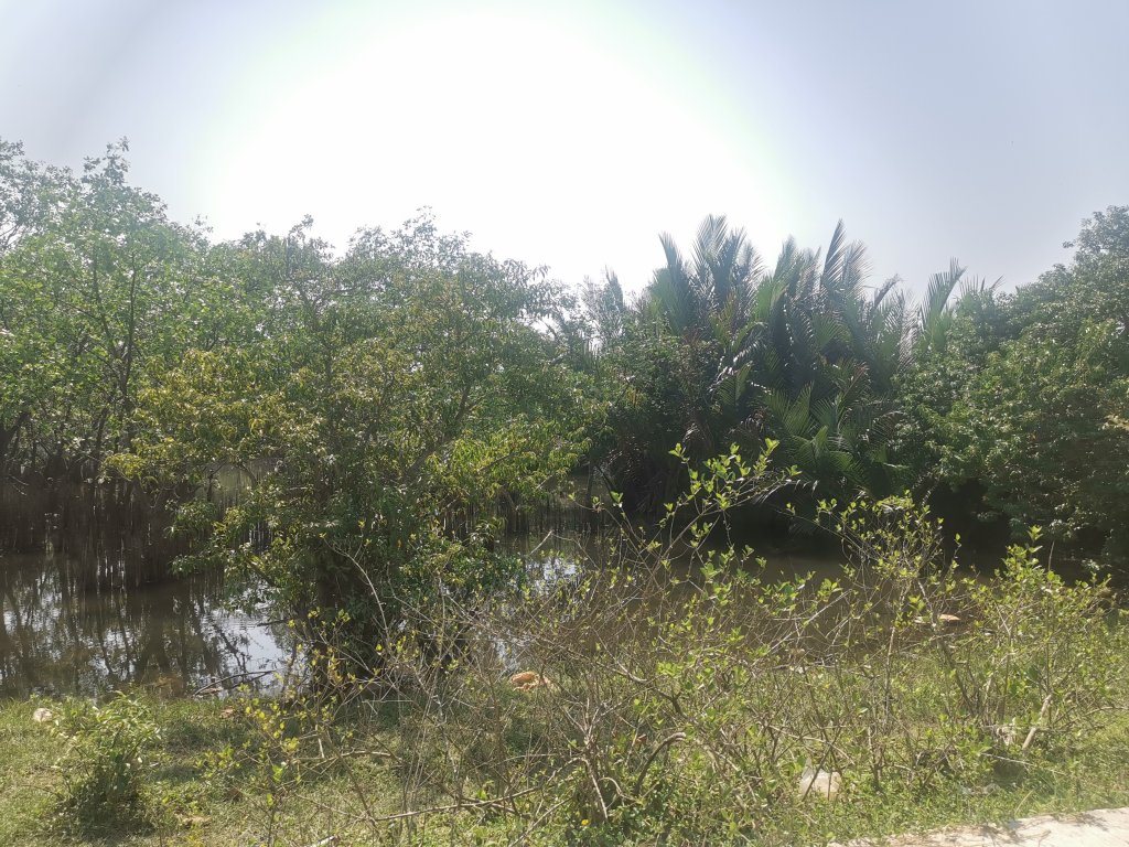IMG_20260507_091635.jpg