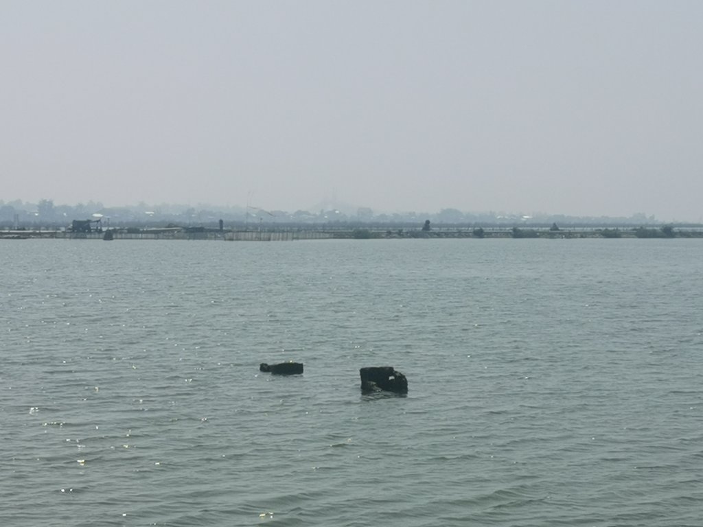 IMG_20260507_094537.jpg
