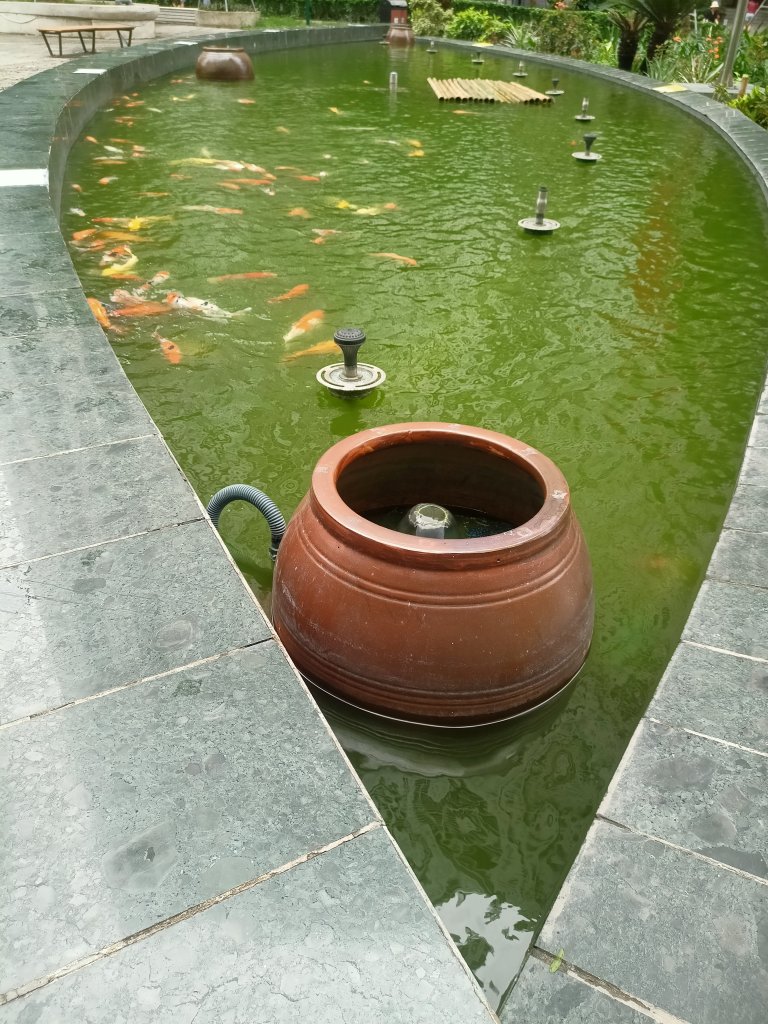 IMG20260521073522.jpg