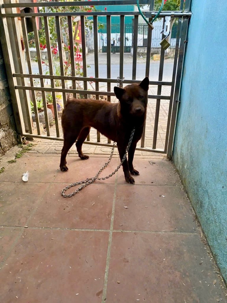 IMG_2011.jpeg