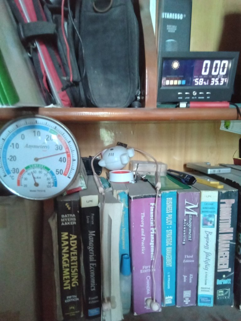 1000000039.jpg