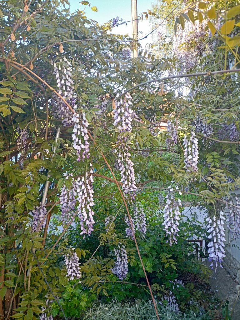 IMG20260523192308.jpg