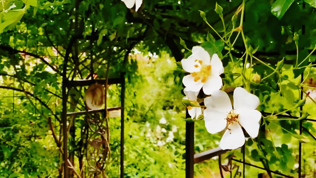 MEITU_20260526_084532946.jpg