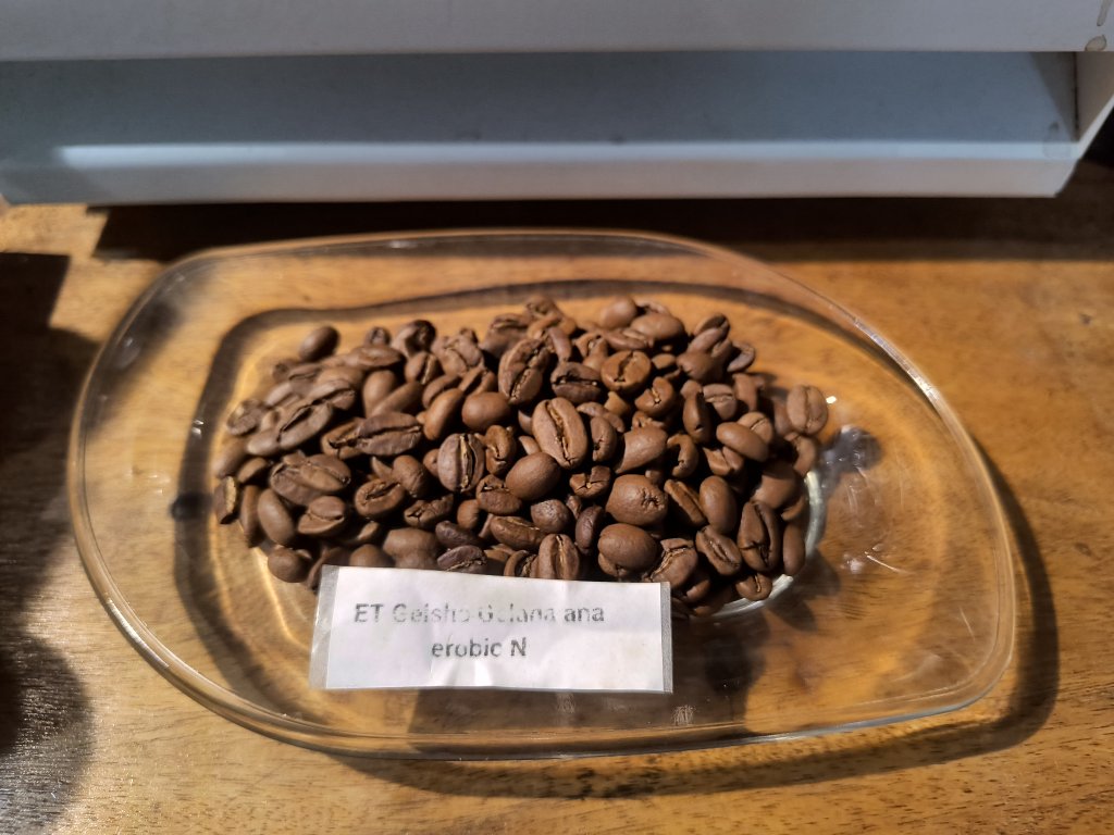 1000009311.jpg