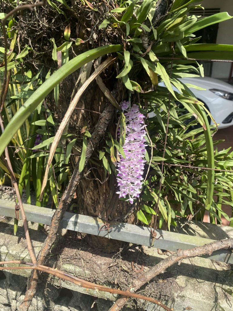 IMG_9137.jpeg