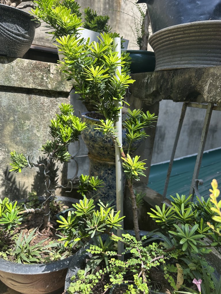 IMG_8679.jpeg
