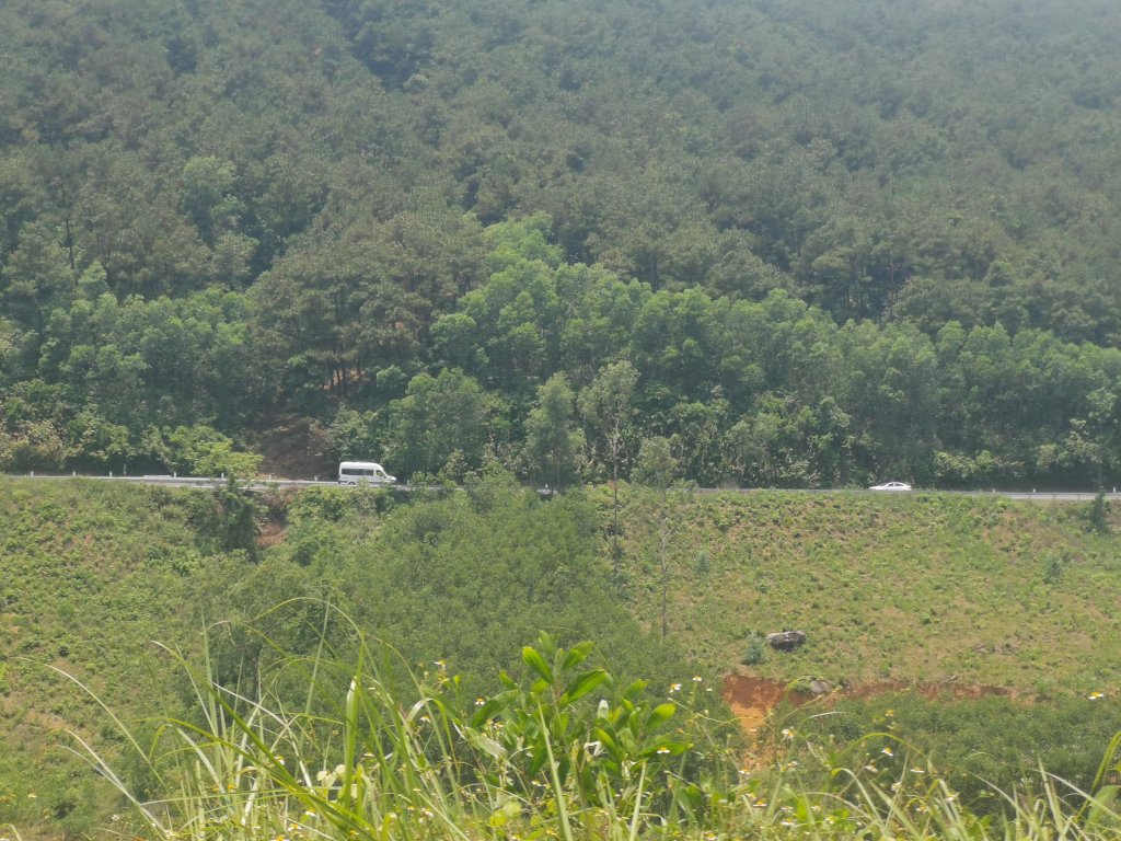 IMG_20260508_115601.jpg