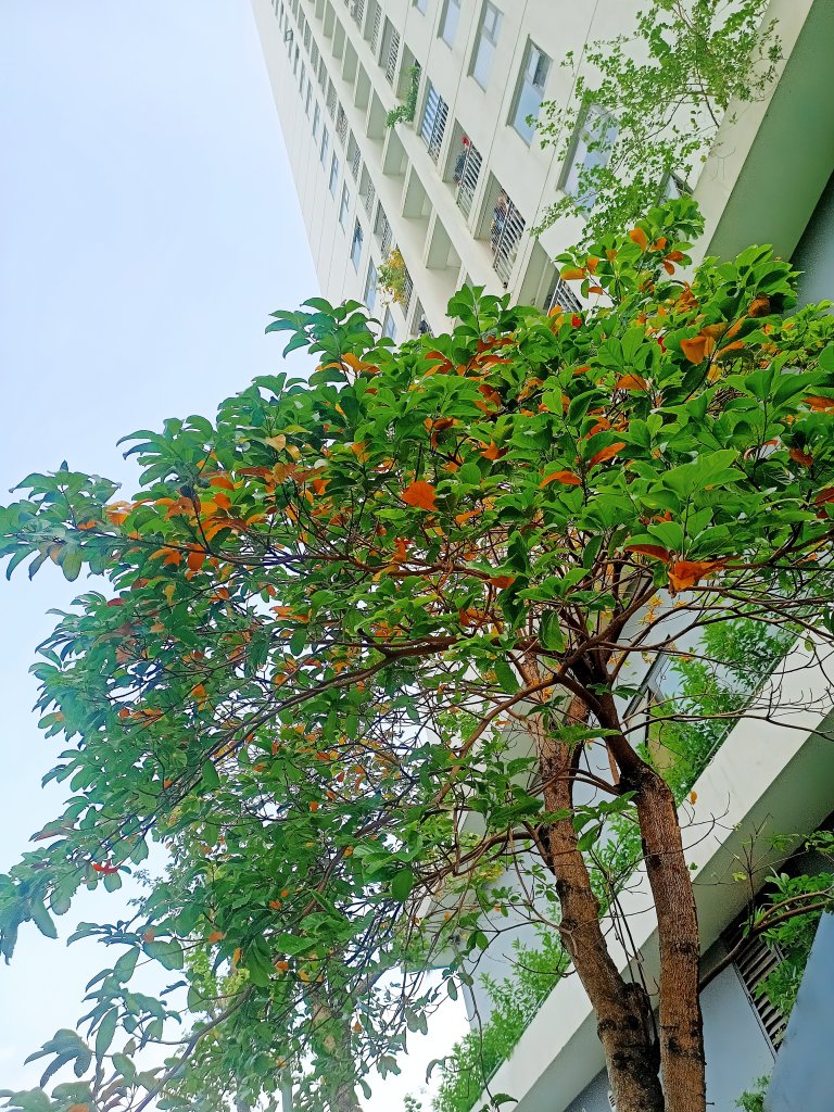 MEITU_20260529_081611858.jpg