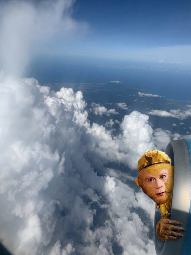 download.png