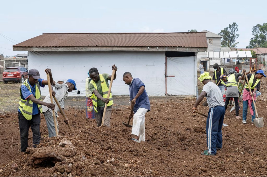 Congo 2026_5_19 (3).jpg