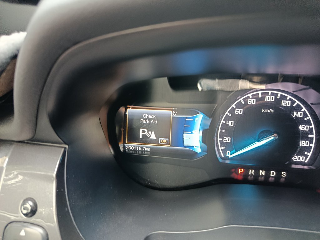 1000008838.jpg