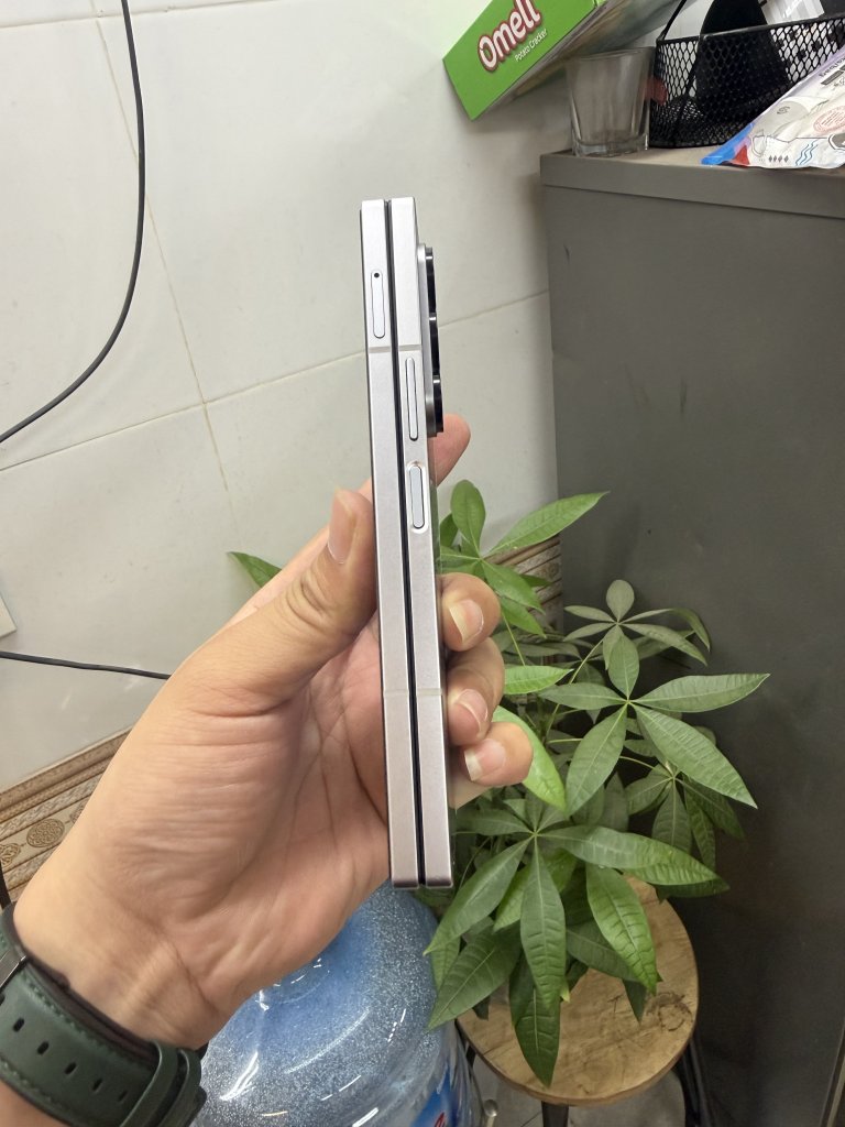 IMG_3224.jpeg