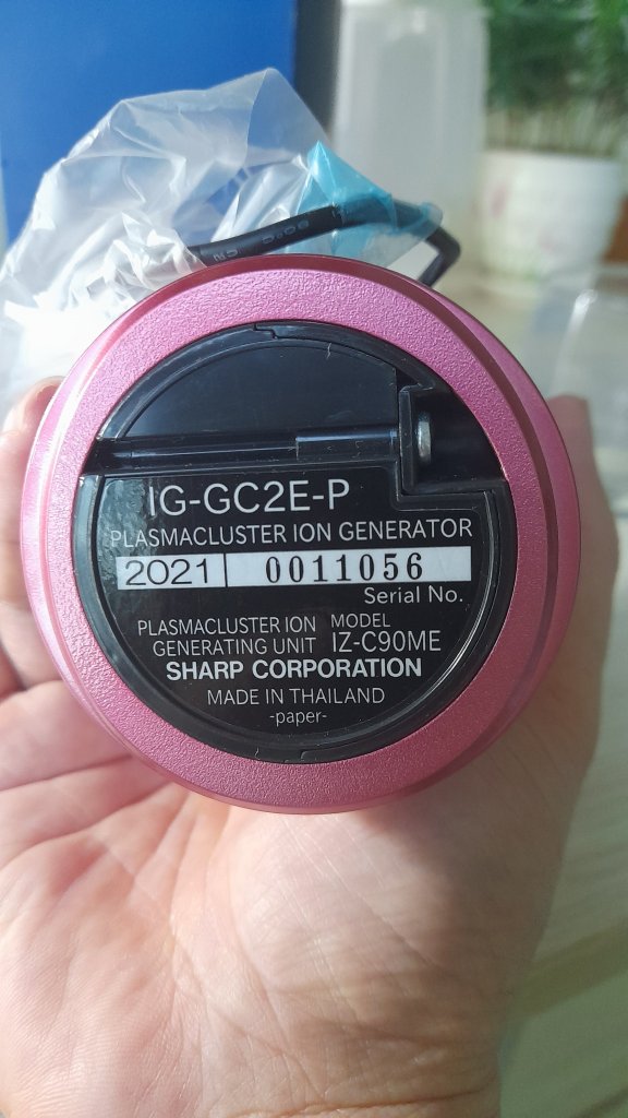 1000028303.jpg