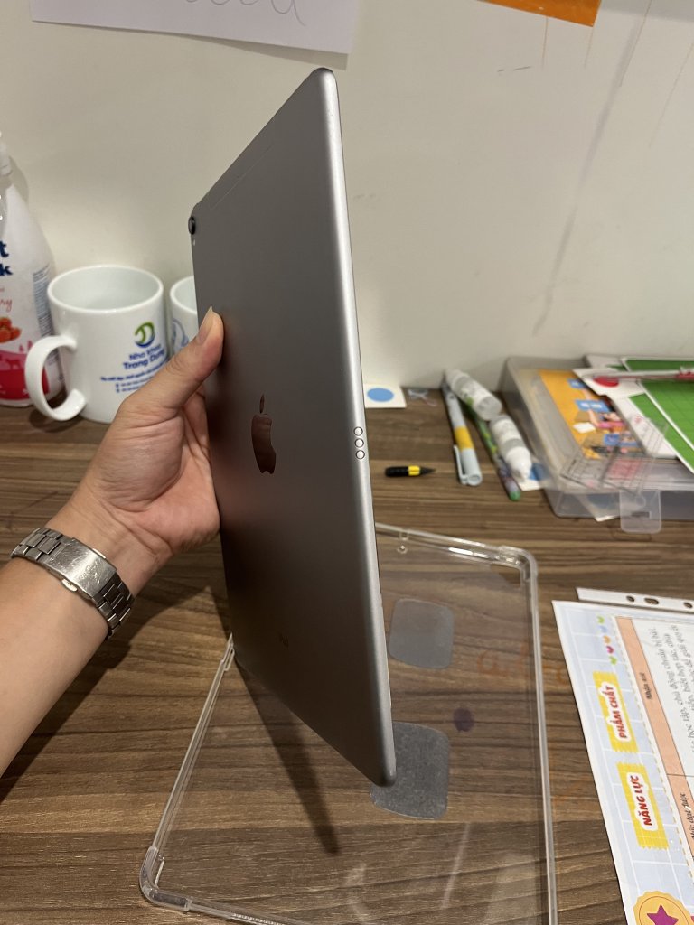 IMG_9790.jpeg