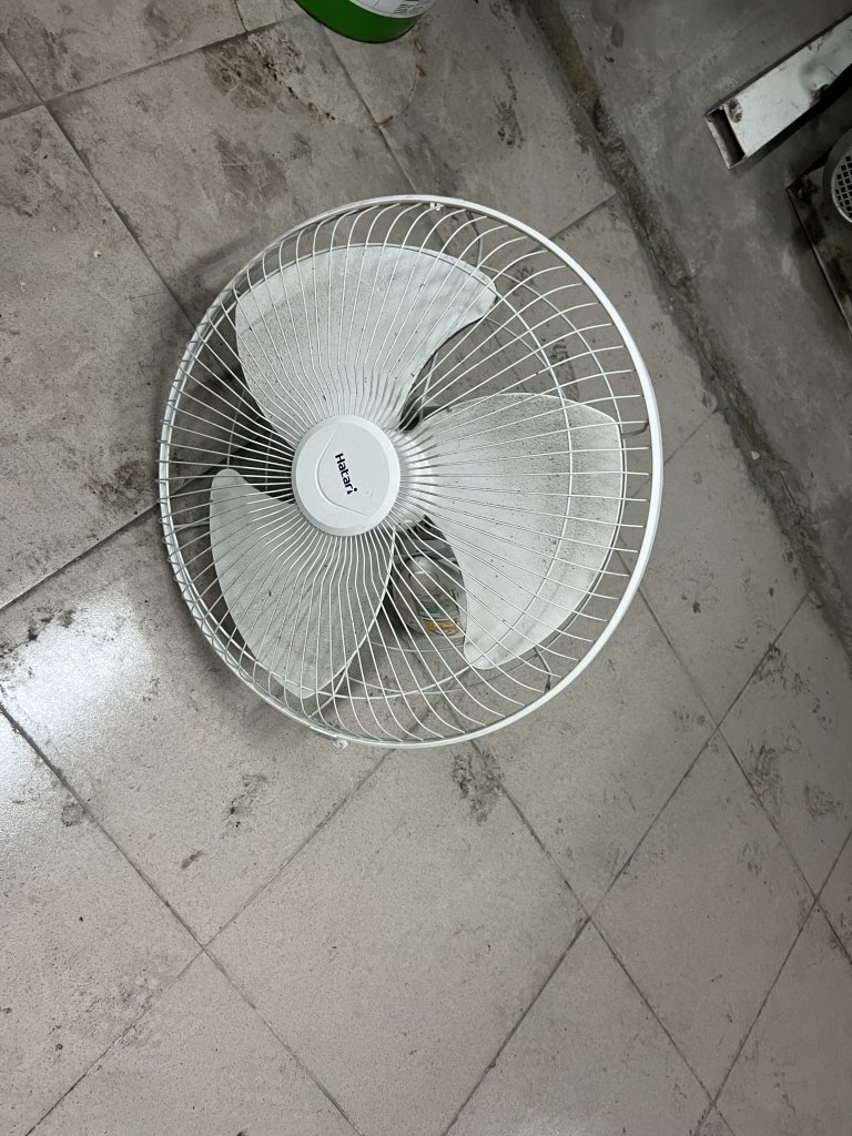 IMG_3274.jpeg