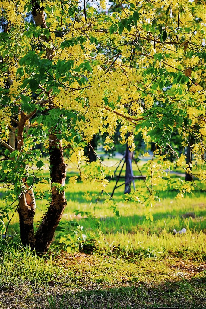 MEITU_20260530_095057816.jpg