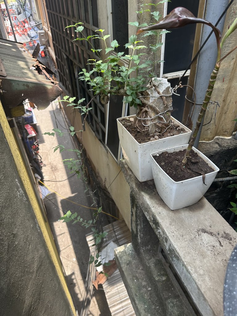 IMG_8791.jpeg