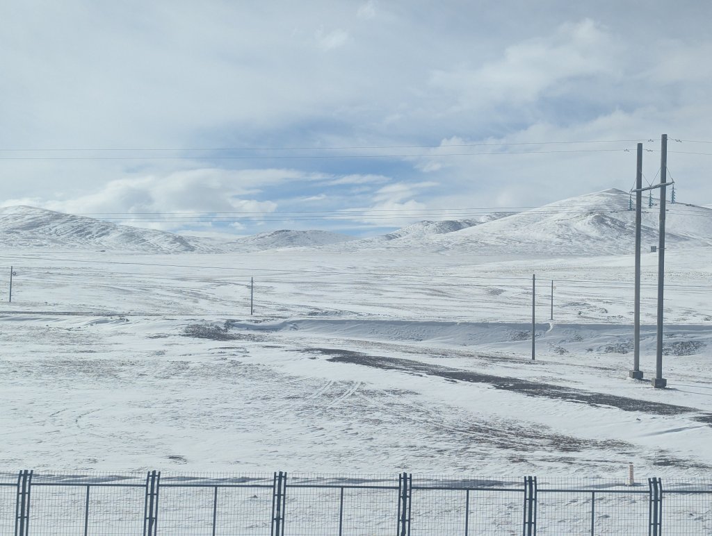 PXL_20260401_022635160.MP.jpg