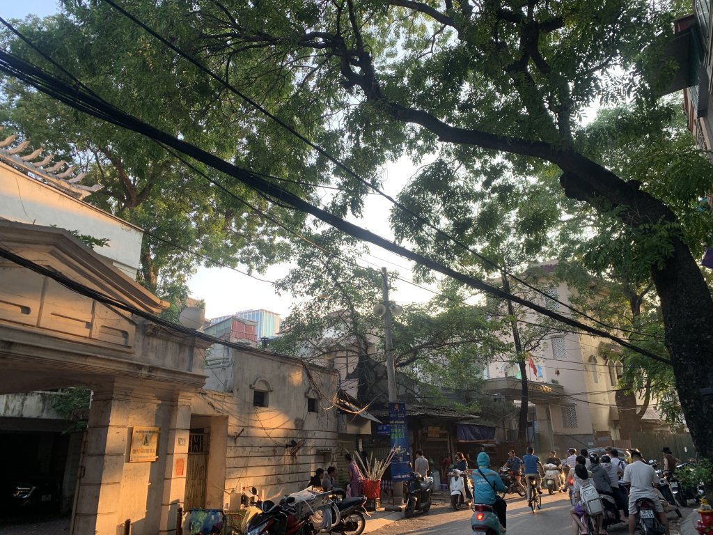 IMG_3695.jpeg