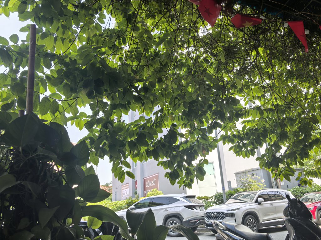 IMG_20260601_090035.jpg