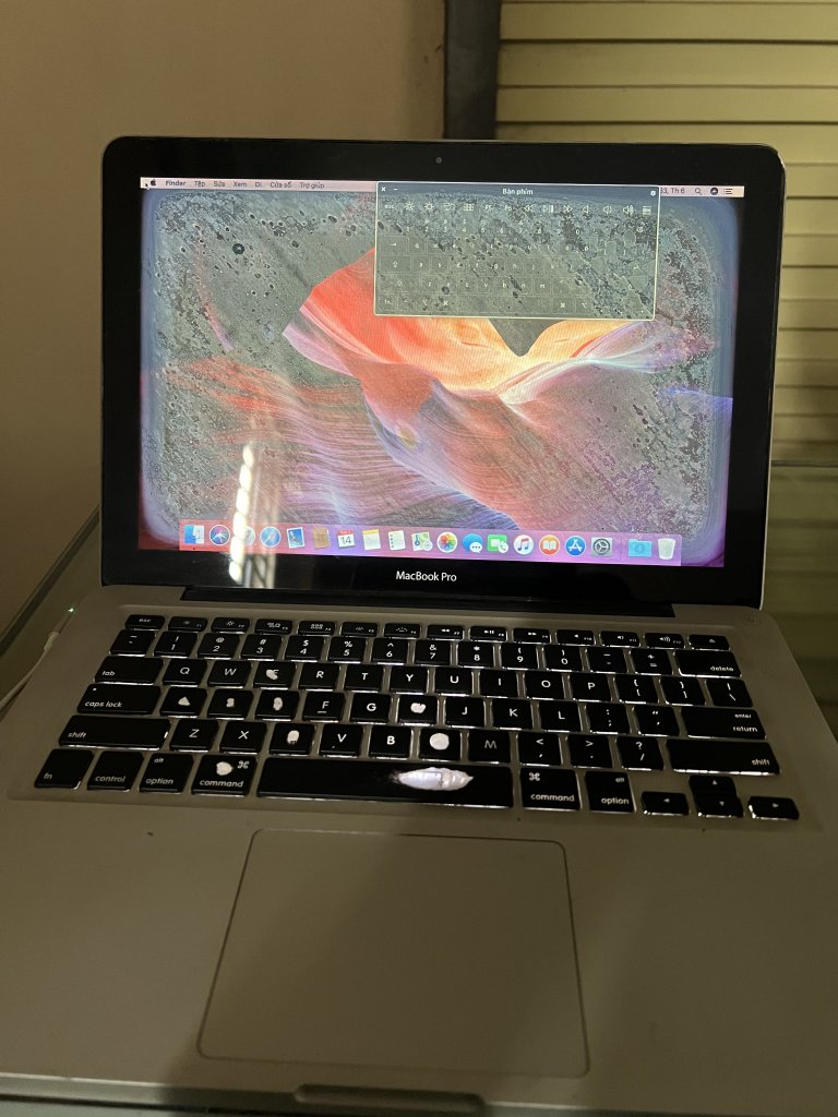 IMG_9948.jpeg