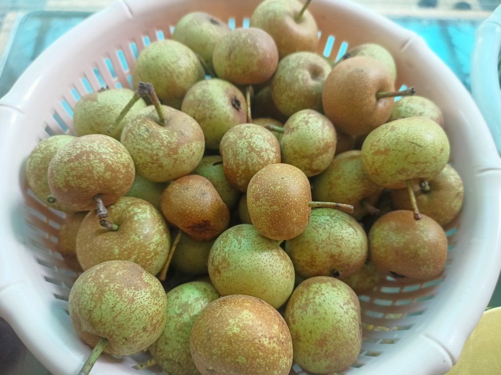 IMG20260601091500.jpg