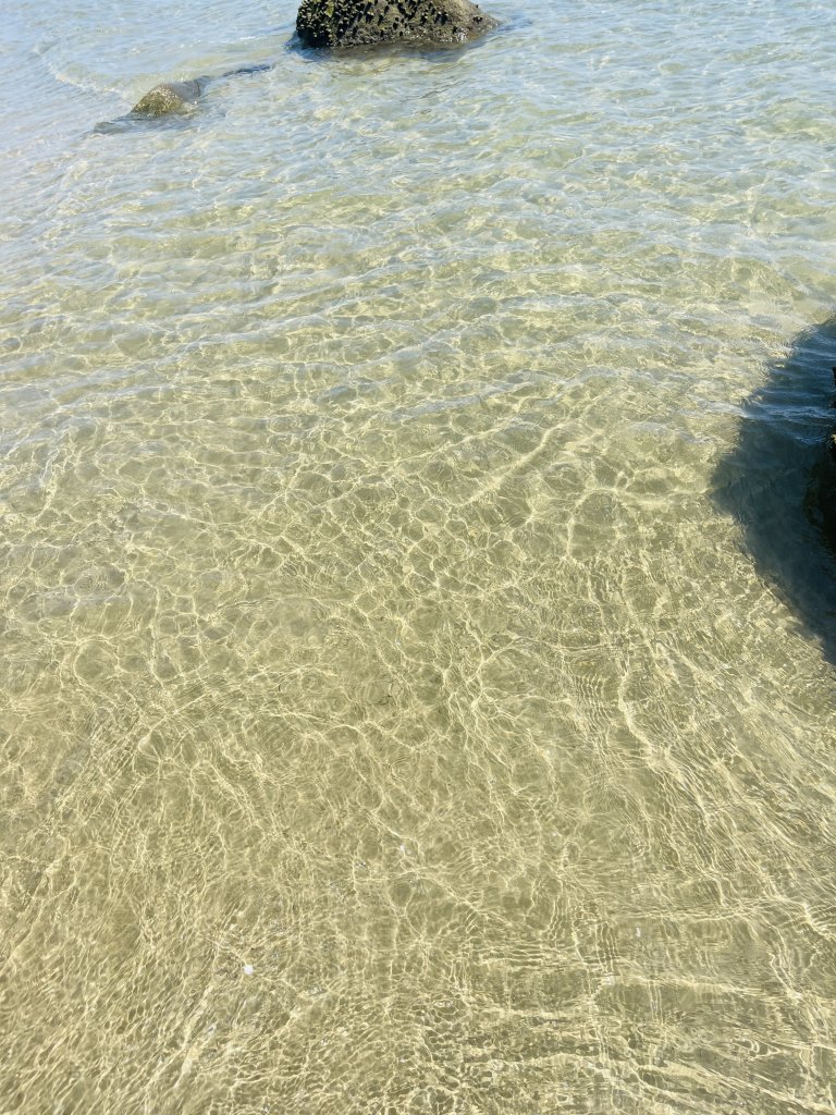 IMG_3240.jpeg