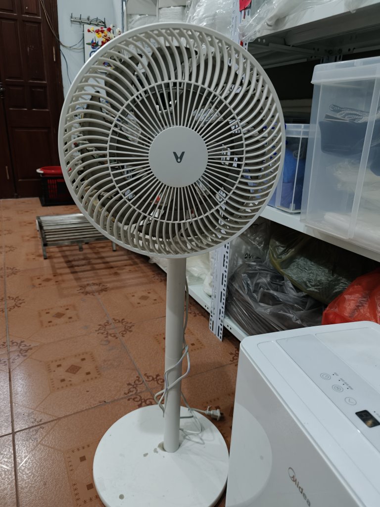 3702.jpg