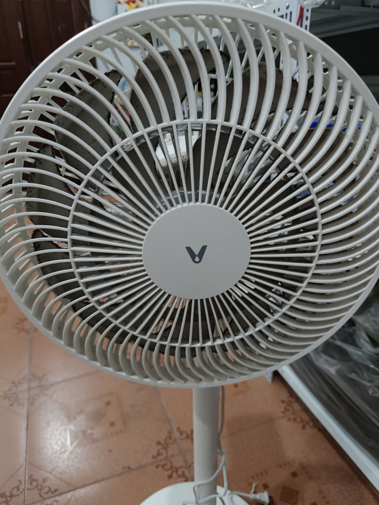 3703.jpg
