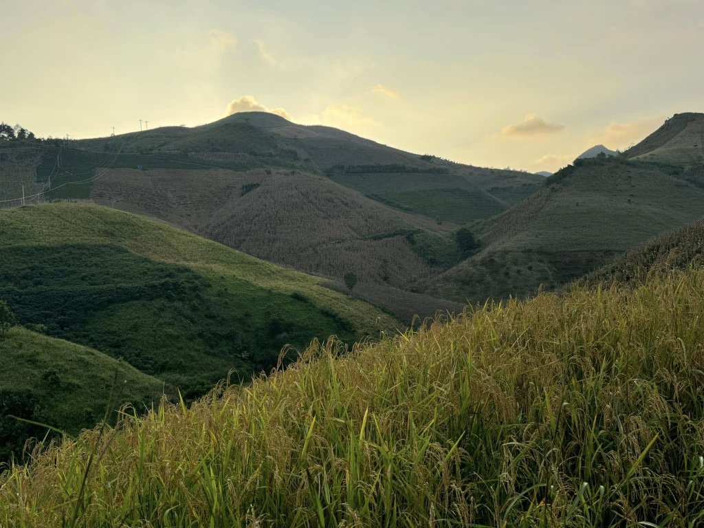 Mộc châu 6.jpg