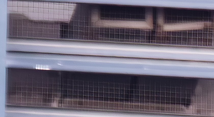 IMG_2935Crop.JPG