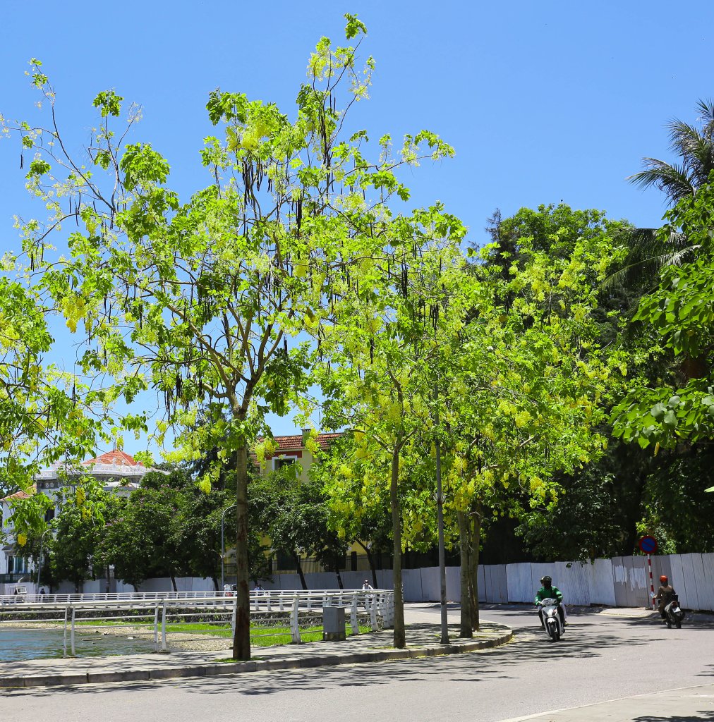 2F1A9743 copy.jpg