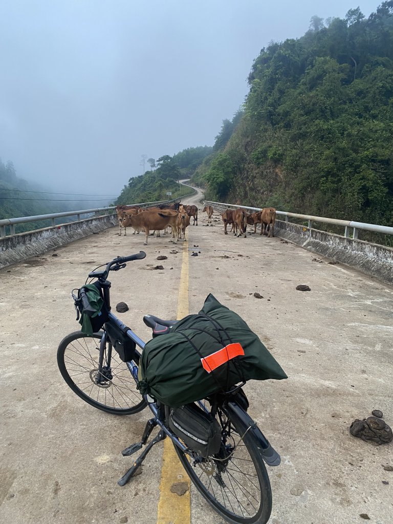 IMG_5110.jpeg
