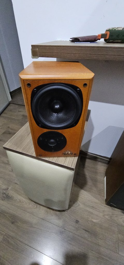 8975.jpg