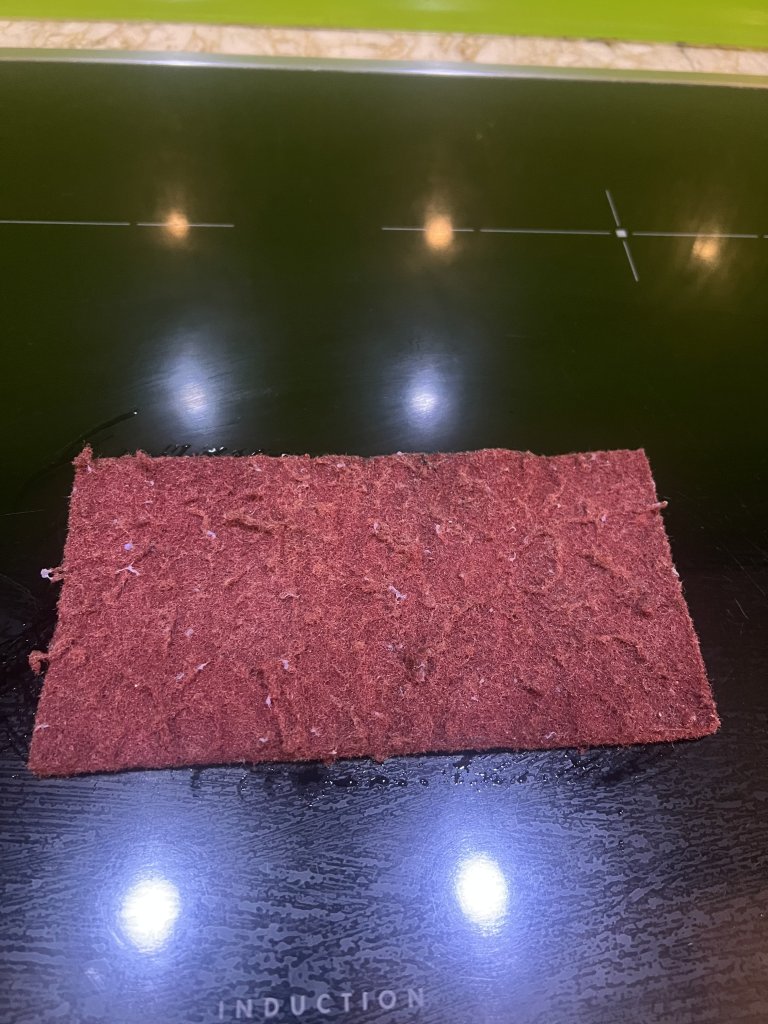 IMG_4658.jpeg