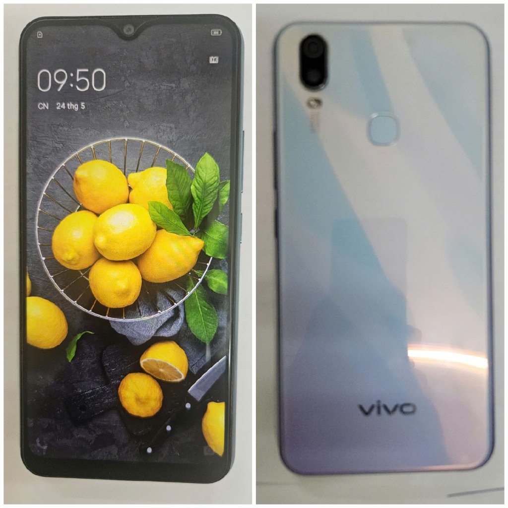 Vivo 1.jpg