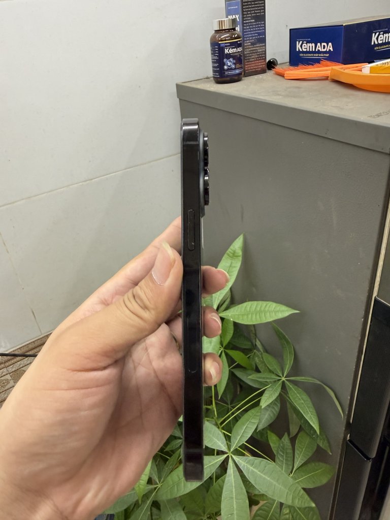 IMG_3543.jpeg