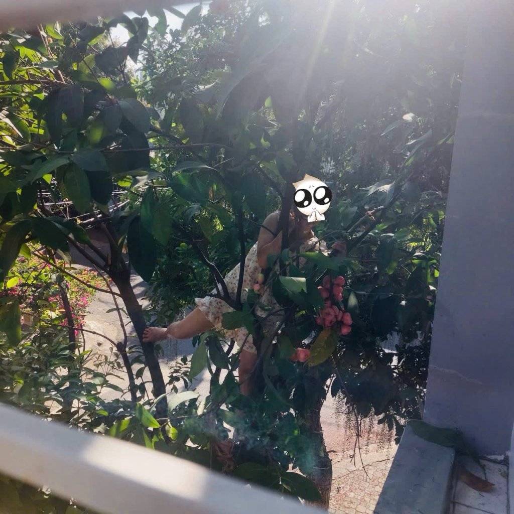 IMG_3956.jpeg