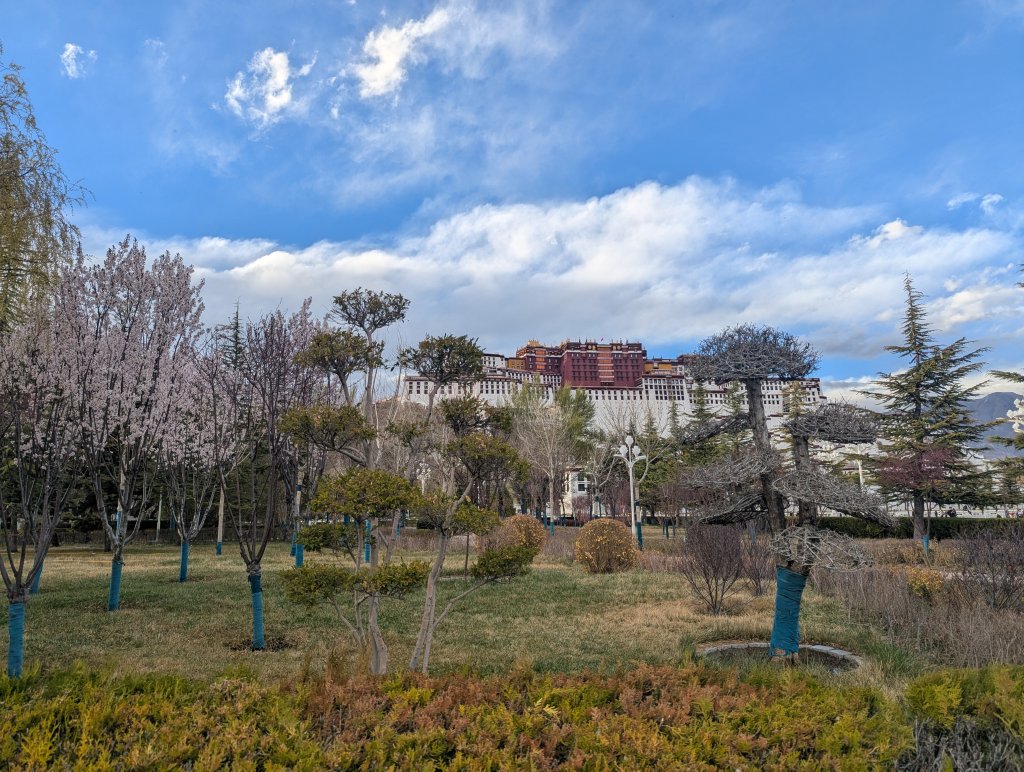 PXL_20260401_113248446.jpg